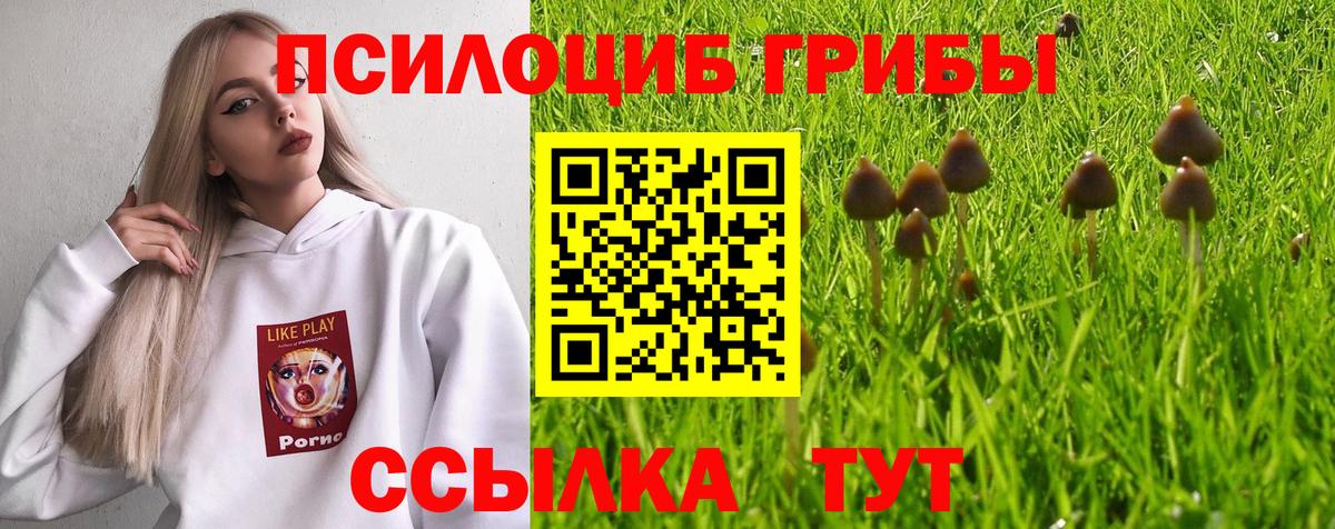 Псилоцибиновые грибы GOLDEN TEACHER  Вход с VPN  Майкоп 