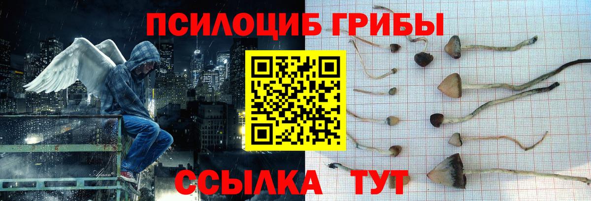 Галлюциногенные грибы Cubensis Майкоп
